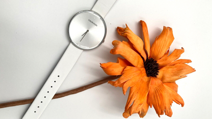 CALVIN KLEIN Full Moon Quarzuhr K8Y231L6