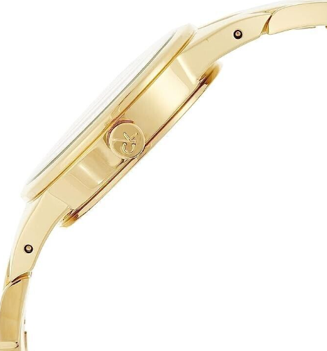 CALVIN KLEIN Schlange Silber Zifferblatt Damen Quarz Uhr